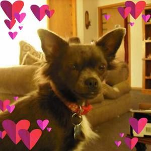 Meet your Posher, Stacy